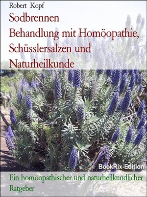 cover image of Sodbrennen             Behandlung mit Homöopathie, Schüsslersalzen und Naturheilkunde